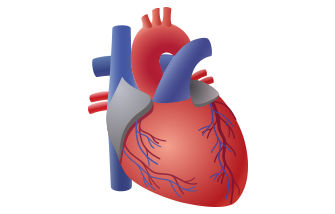 La transplantation cardique
