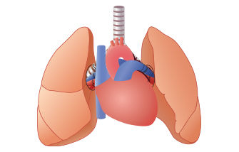 La transplantation pulmonaire