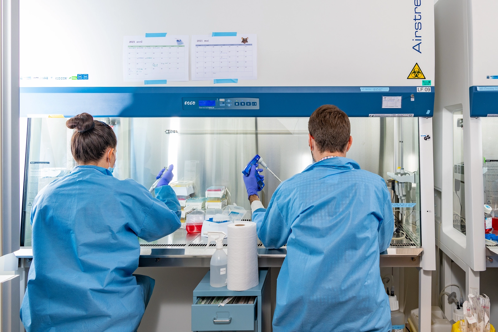 Photo de deux soignants vus de dos, dans un laboratoire