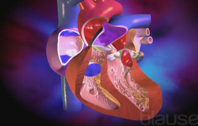 Affections des valves et vaisseaux - Service de cardiologie - CHUV