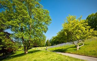 Les parcs à Lausanne