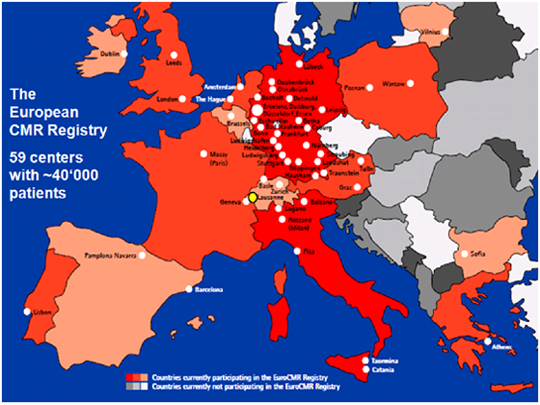 European CMR Registry