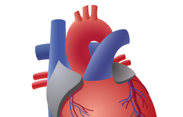 La transplantation cardiaque