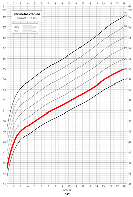 Illustration d'une courbe de croissance