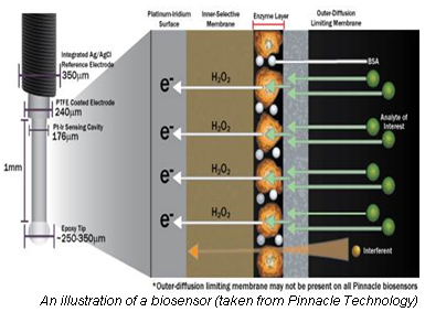 biosensor