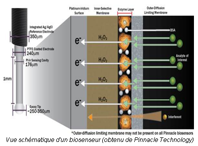 Vue schématique d'un biosenseur