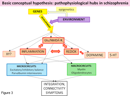 Basic conceptual hypothesis